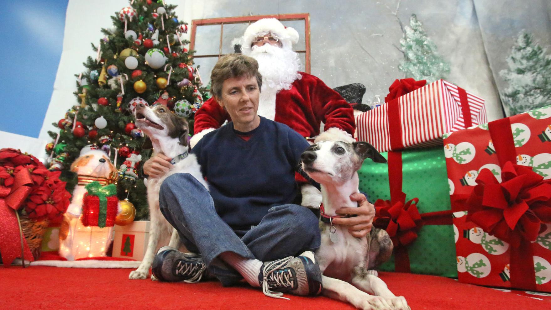 University of Arizona makes big progress on valley fever vaccine for dogs